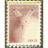 ARTIC HARE STAMP PIN
